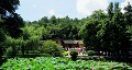 長沙出發(fā)到花明樓、韶山、張家界國家森林公園、天門仙山國家森林公園四日游